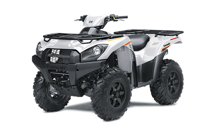 BRUTE FORCE 750 EPS